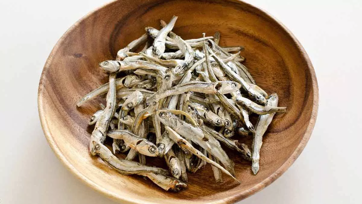 Ikan Teri, Kecil Bentuk-Nya Besar Manfaat-Nya