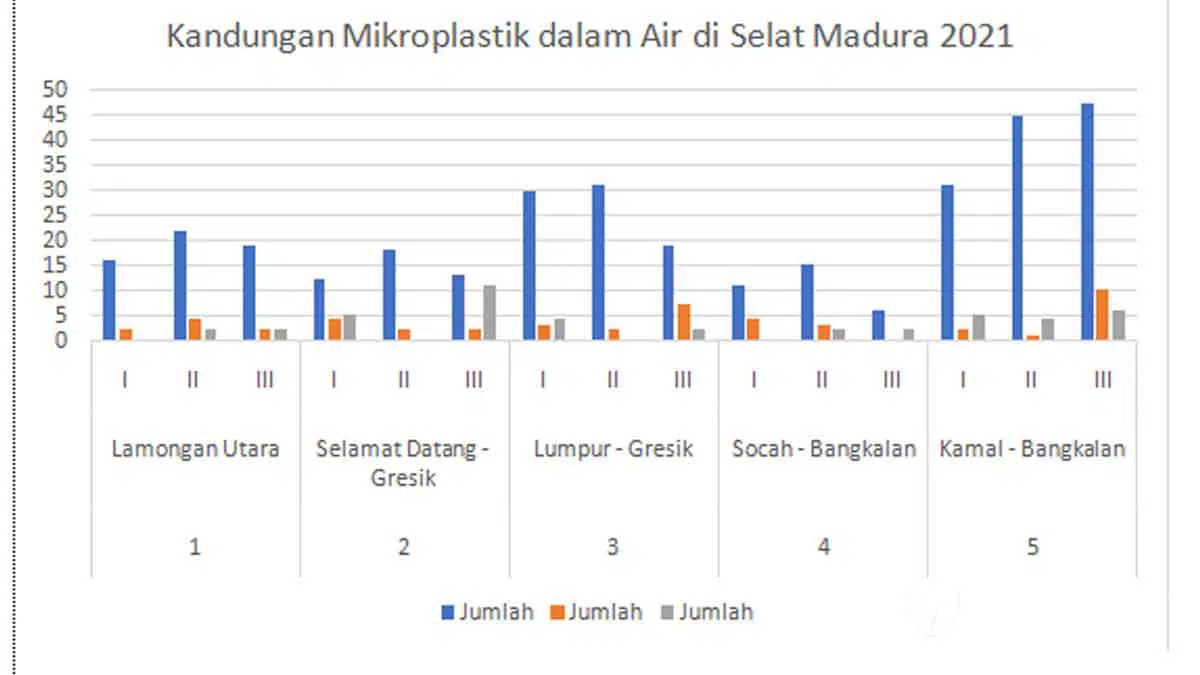 Hasil Penelitian: Seafood Selat Madura Terancam Mikroplastik, Pemerintah Didesak Bertindak
