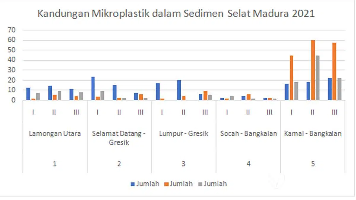 Hasil Penelitian: Seafood Selat Madura Terancam Mikroplastik, Pemerintah Didesak Bertindak