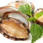 Kaya Akan Nutrisi, Kerang Abalone Baik Untuk Kesehatan Tubuh Anda