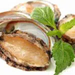 Kaya Akan Nutrisi, Kerang Abalone Baik Untuk Kesehatan Tubuh Anda
