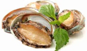 Kaya Akan Nutrisi, Kerang Abalone Baik Untuk Kesehatan Tubuh Anda