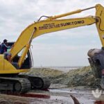 Puluhan Bangkai Ikan Paus Dikubur, 4 Ekor Hilang Terseret Air