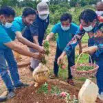 Rangkaian HPN 2021, Anggota PWI Sumenep Tabur Bunga di Makam Seniornya
