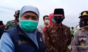 Sebelum Dikubur, Gubernur Jatim Minta Dokter Hewan Periksa Puluhan Hiu Paus Mati di Bangkalan