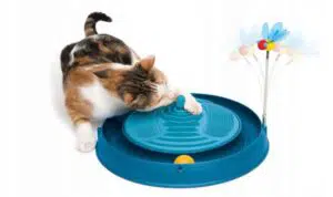 Tips Memilih Mainan Aman Untuk Kucing