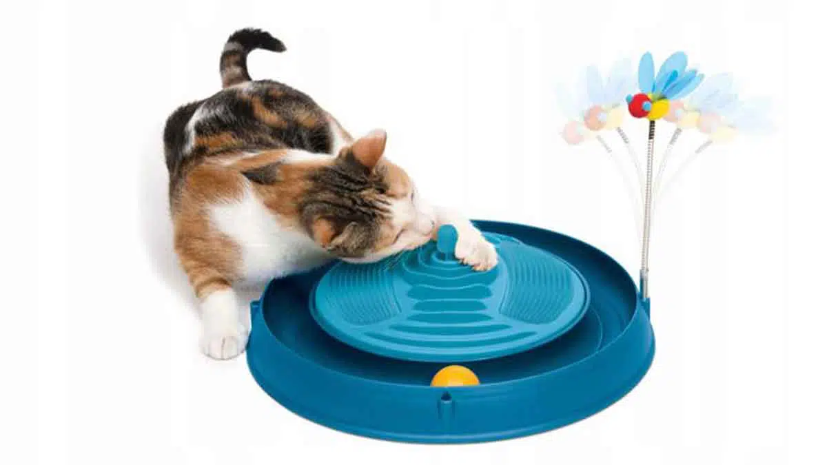 Tips Memilih Mainan Aman Untuk Kucing