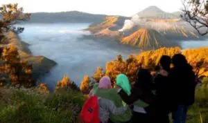11 Destinasi Wisata di Bromo yang Wajib Dikunjungi
