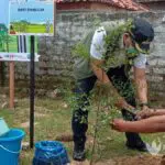 Pertamina Tanam 600 Bibit Pohon di Pamekasan