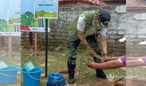 Pertamina Tanam 600 Bibit Pohon di Pamekasan