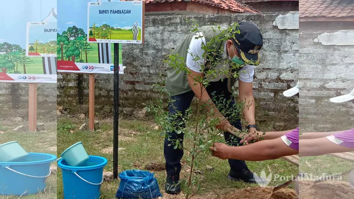 Pertamina Tanam 600 Bibit Pohon di Pamekasan