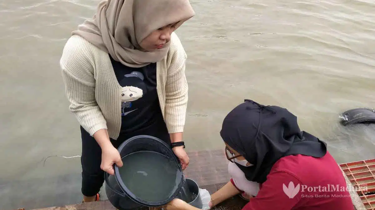 Hasil Penelitian: Seafood Selat Madura Terancam Mikroplastik, Pemerintah Didesak Bertindak - Portalmadura.com Hasil Penelitian: Seafood Selat Madura Terancam Mikroplastik, Pemerintah Didesak Bertindak