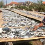 Cuaca Buruk, Produksi Ikan Asin Terhenti