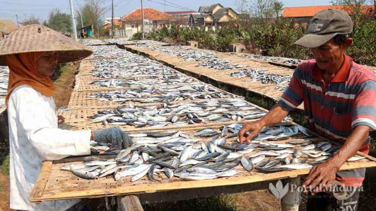 Cuaca Buruk, Produksi Ikan Asin Terhenti
