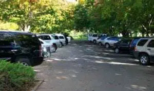 Bodi-Mobil-Kena-Getah-Pohon-Begini-Cara-Hilangkannya
