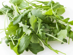 Jarang Diketahui, Ini Manfaat Daun Arugula Untuk Kesehatan Tubuh Anda