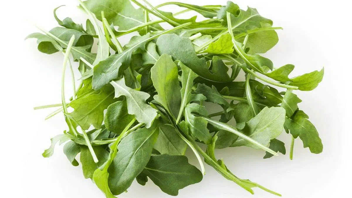 Jarang Diketahui, Ini Manfaat Daun Arugula Untuk Kesehatan Tubuh Anda