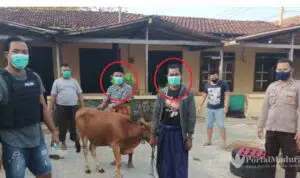 Dua Maling Sapi Diringkus Polsek Kangean