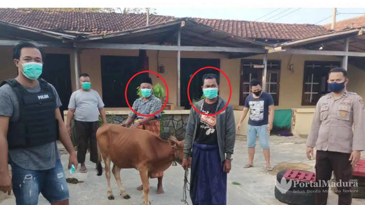 Dua Maling Sapi Diringkus Polsek Kangean
