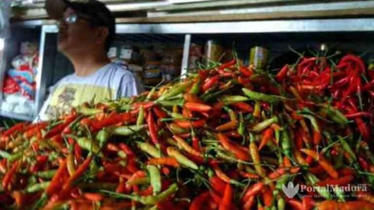 Harga Cabai Rawit Merah Tembus Rp.122 ribu per Kg  PortalMadura.com