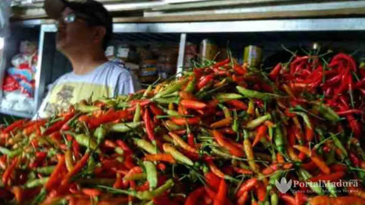 Harga Cabai Rawit Merah Tembus Rp.122 ribu per Kg