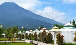 Kekinian dan Instagramable, Tempat Wisata Bogor yang Wajib Anda Kunjungi