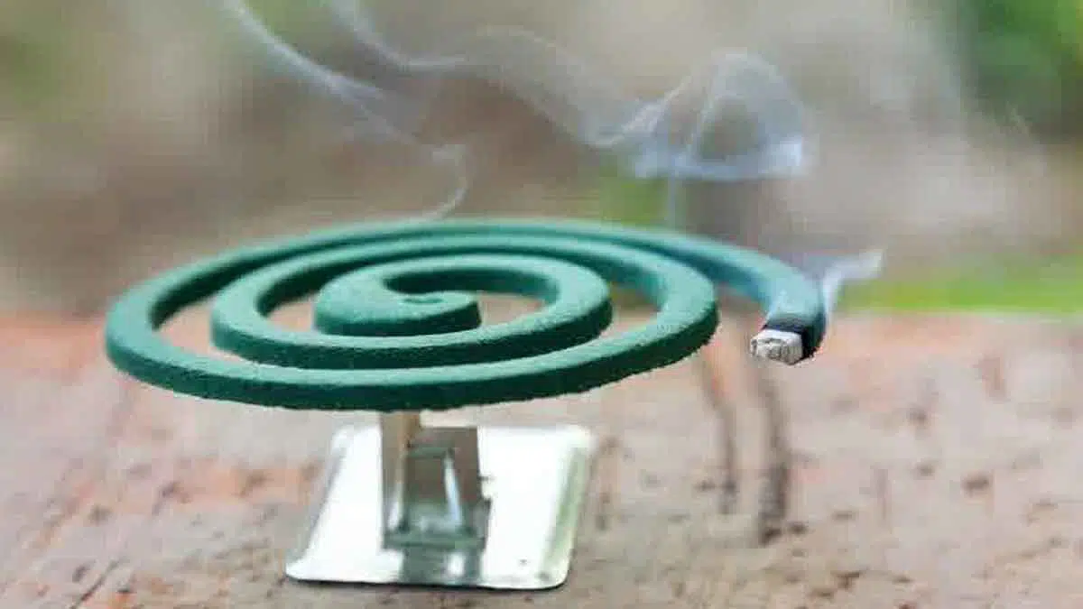 Ketahui Dampak Buruk Penggunaan Obat Nyamuk Bakar Bagi Kesehatan