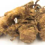 Kunyit Putih, Rempah Pilihan yang Punya 5 Khasiat Bagi Kecantikan Kulit