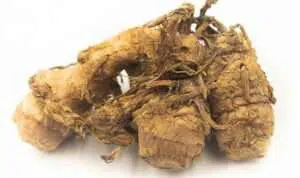Kunyit-Putih,-Rempah-Pilihan-yang-Punya-5-Khasiat-Bagi-Kecantikan-Kulit