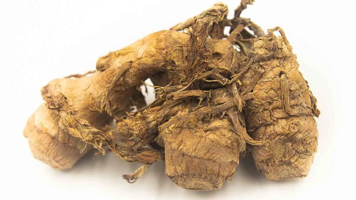 Kunyit-Putih,-Rempah-Pilihan-yang-Punya-5-Khasiat-Bagi-Kecantikan-Kulit