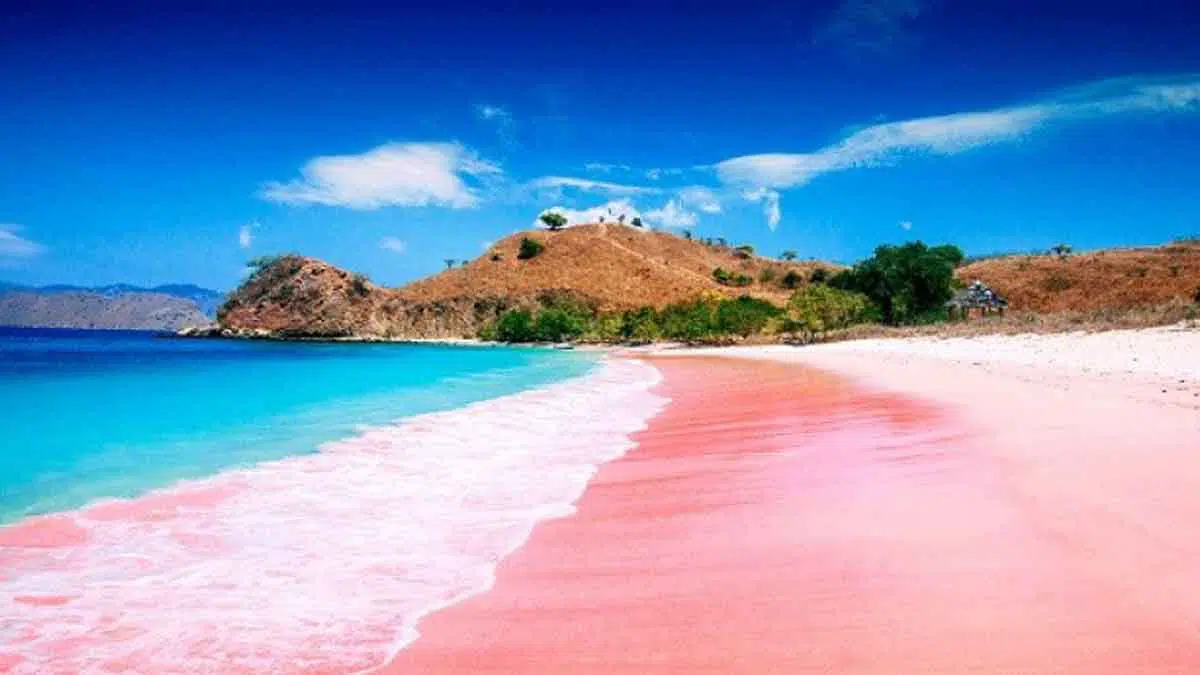 Menakjubkan, Wisata Lombok yang Wajib Anda Kunjungi