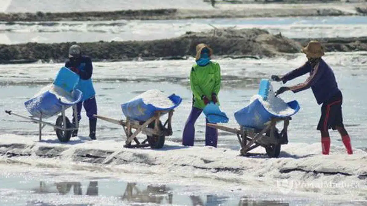 Bukan Anti Impor, Garam Petani Sumenep Malah Makin Tak Terserap