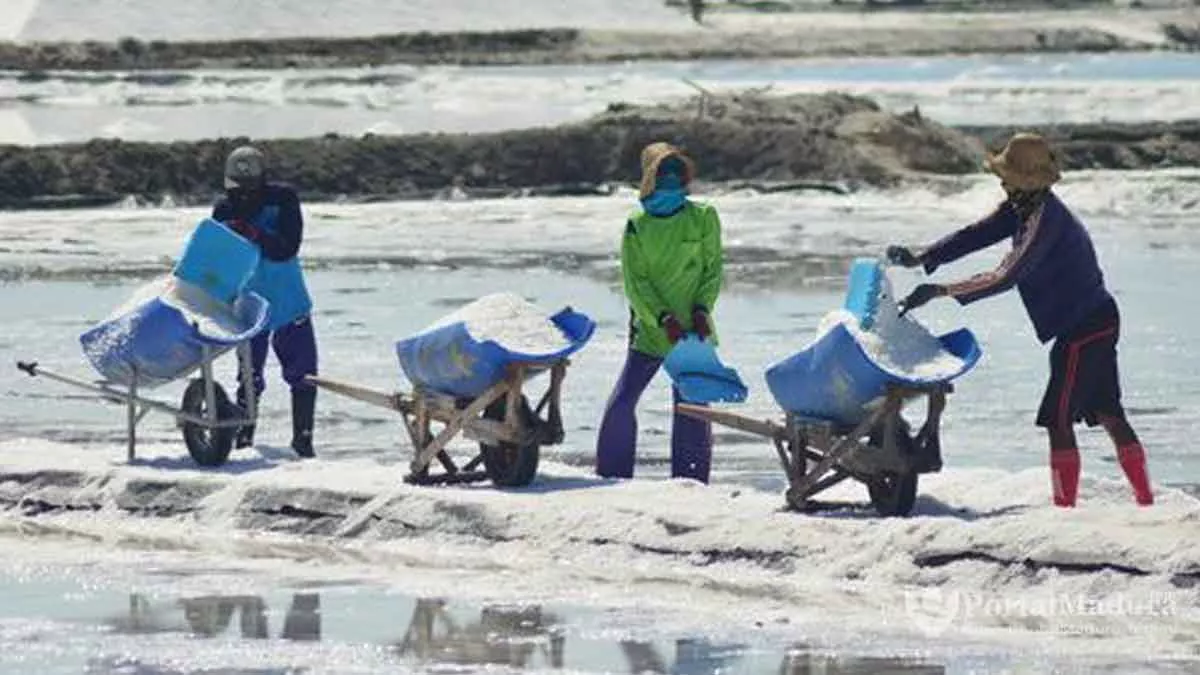 Bukan Anti Impor, Garam Petani Sumenep Malah Makin Tak Terserap