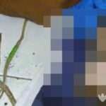 Polisi Sumenep Buru Pelaku Mutilasi Bayi di Masalembu