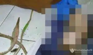 Polisi-Sumenep-Buru-Pelaku-Mutilasi-Bayi-di-Masalembu
