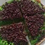 Resep Martabak Manis Tanpa Telur
