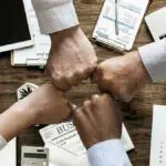 Tahun Kerbau Logam, Ini Prospek Bisnis yang Cocok untuk Anda
