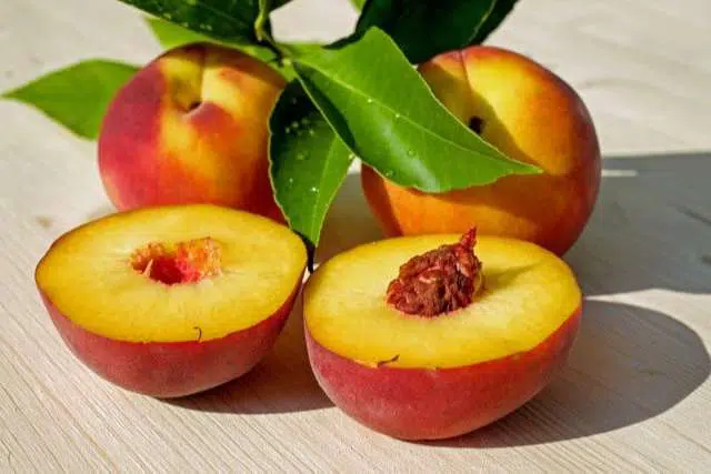 Tak Hanya Enak, Buah Persik Simpan Banyak Manfaat Untuk Kesehatan Tubuh