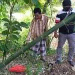 Warga Temukan Gundukan Tanah Aneh, Ternyata Terkubur Mayat Bayi