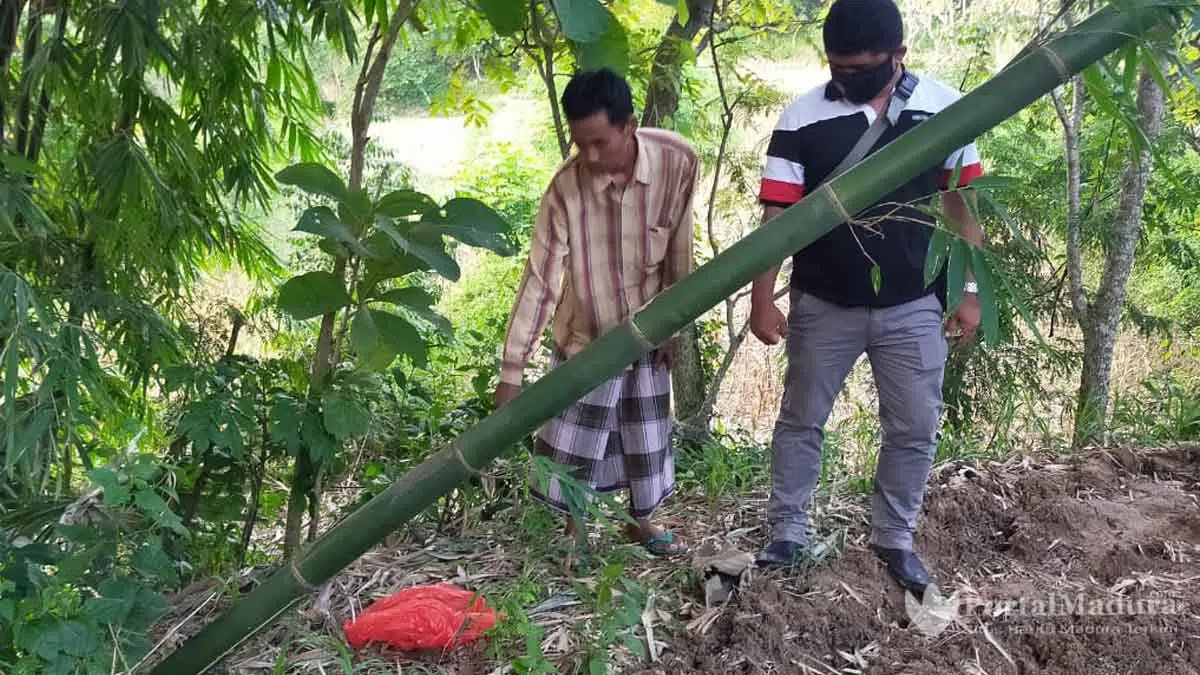 Warga Temukan Gundukan Tanah Aneh, Ternyata Terkubur Mayat Bayi