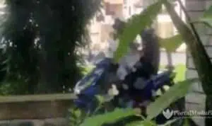 Adegan Mesum Muda-mudi Depan Kantor Satpol PP Pamekasan Terekam Kamera