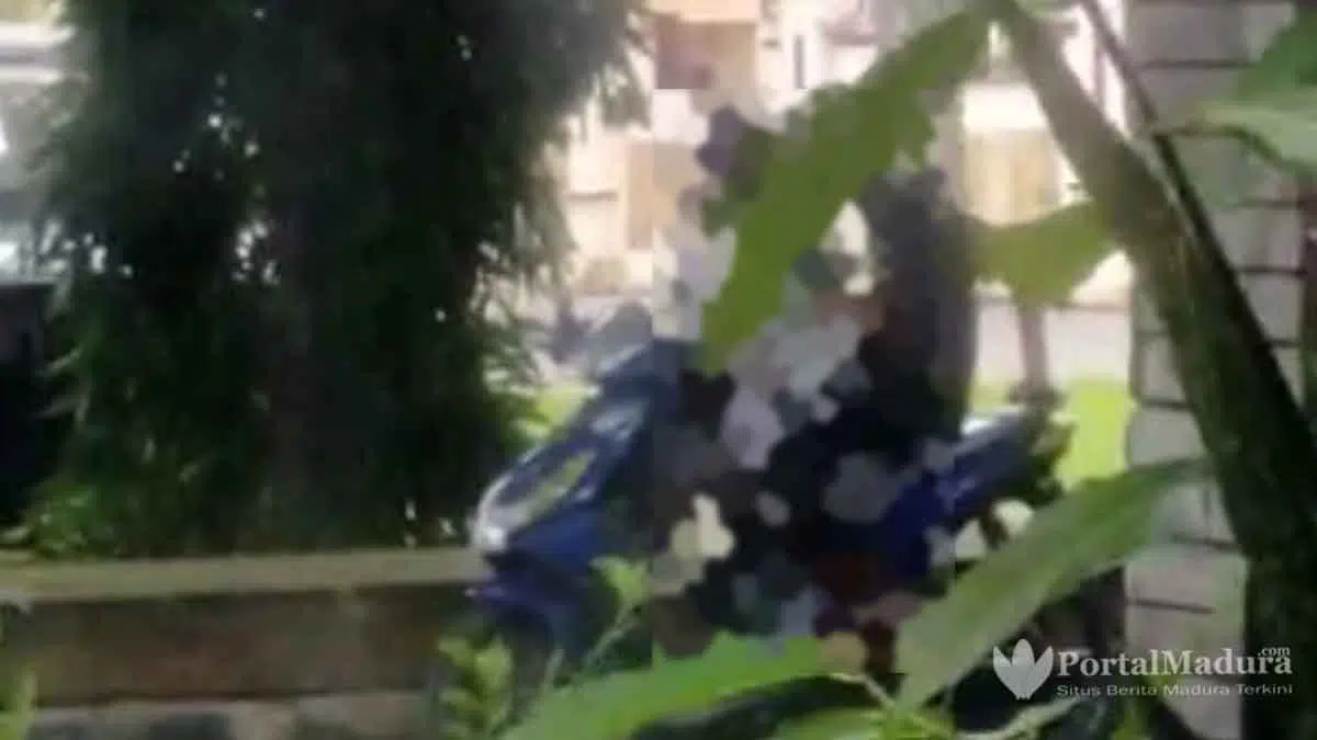 Adegan Mesum Muda-mudi Depan Kantor Satpol PP Pamekasan Terekam Kamera