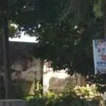 Banner Promosi “Marak” Dipaku ke Pohon