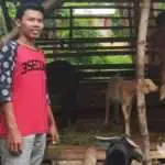 Cara Pemuda Sumenep Entas Kemiskinan Warga Lewat “MangOwan Embi”