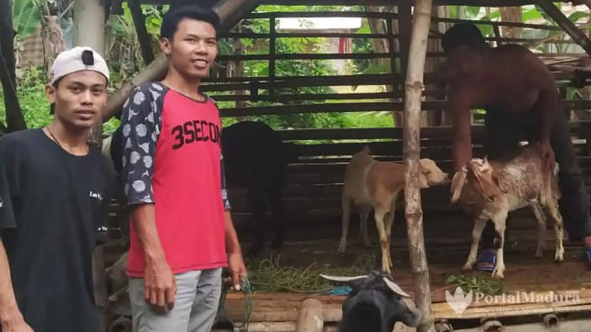 Cara Pemuda Sumenep Entas Kemiskinan Warga Lewat “MangOwan Embi”