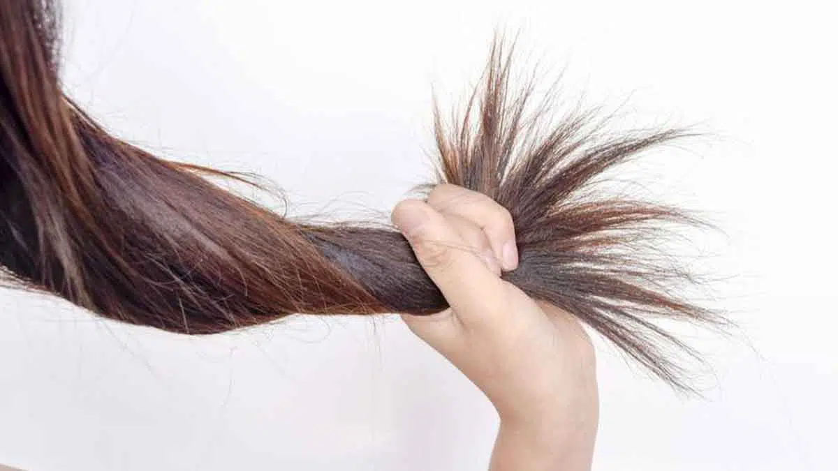 Ini Cara Merawat Rambut Kering yang Bisa Anda Lakukan di Rumah