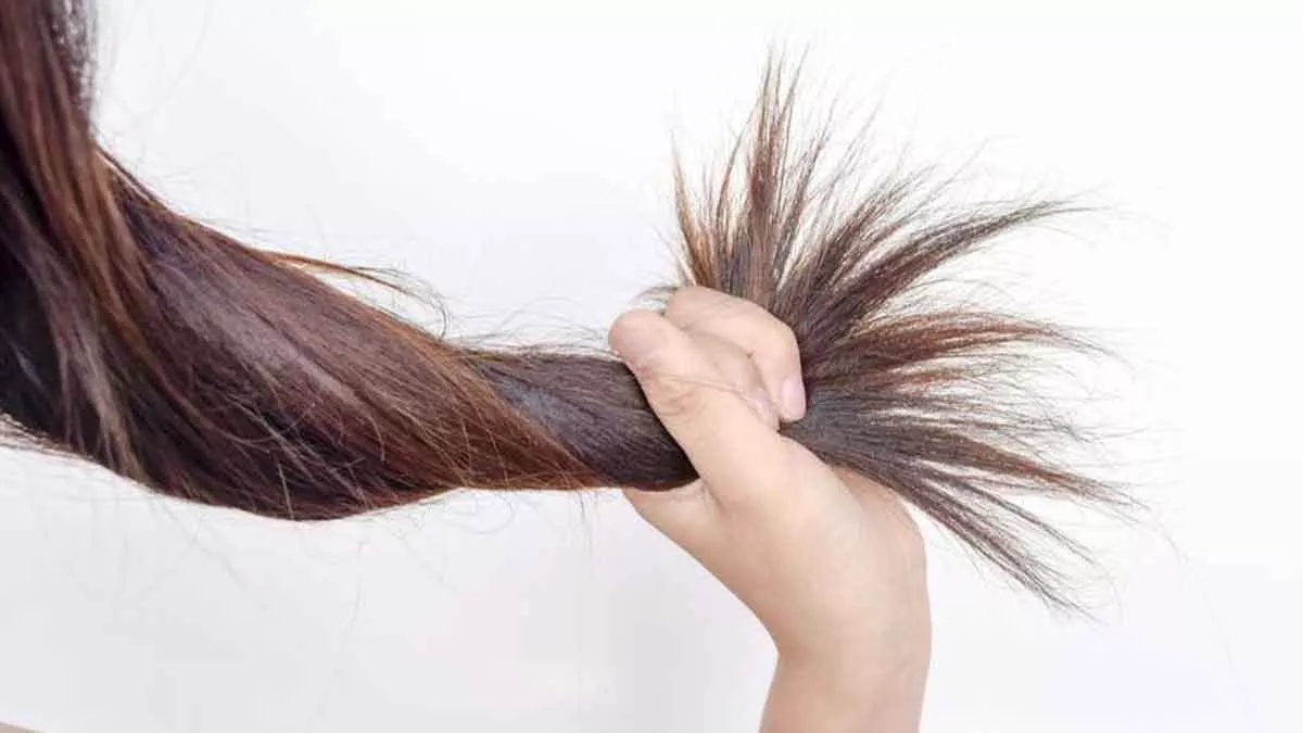 Ini Cara Merawat Rambut Kering yang Bisa Anda Lakukan di Rumah