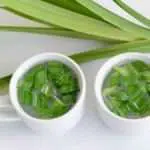 Pandan, Daun Pewangi Alami Yang Simpan Banyak Manfaat Untuk Tubuh