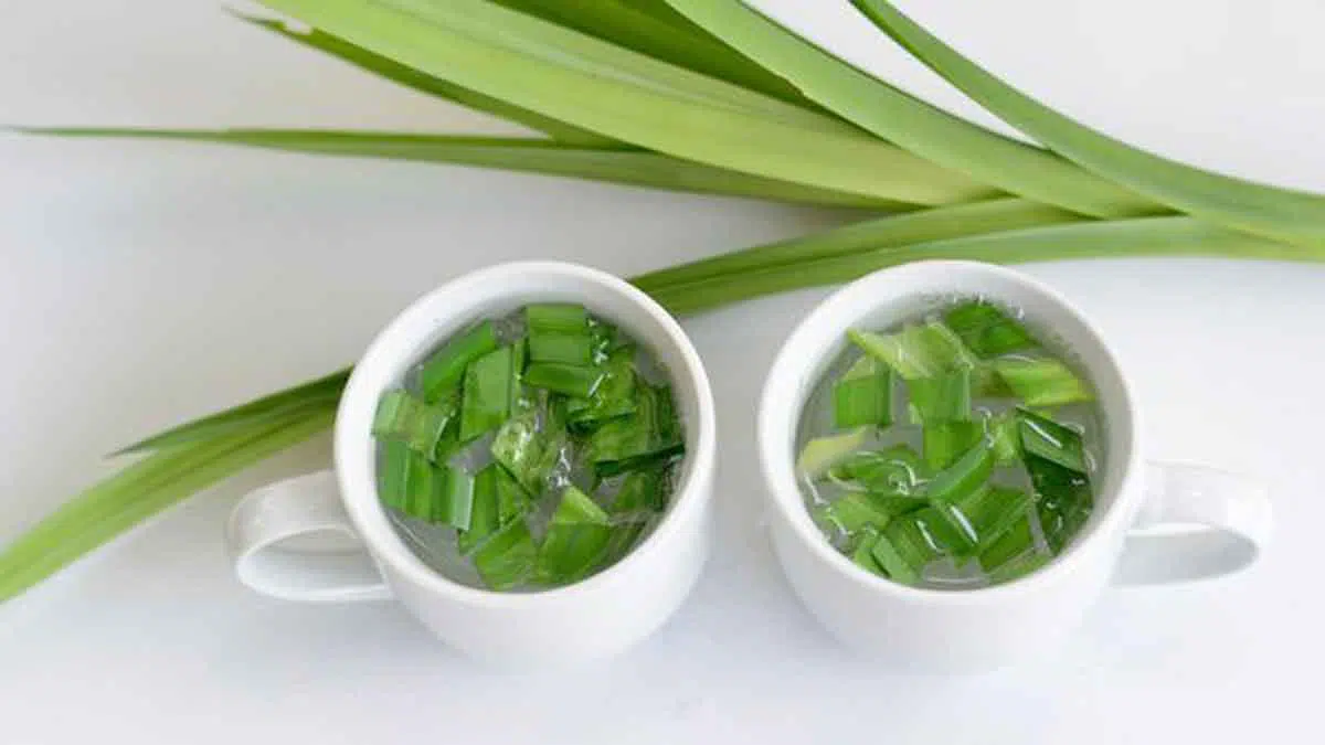 Pandan, Daun Pewangi Alami Yang Simpan Banyak Manfaat Untuk Tubuh