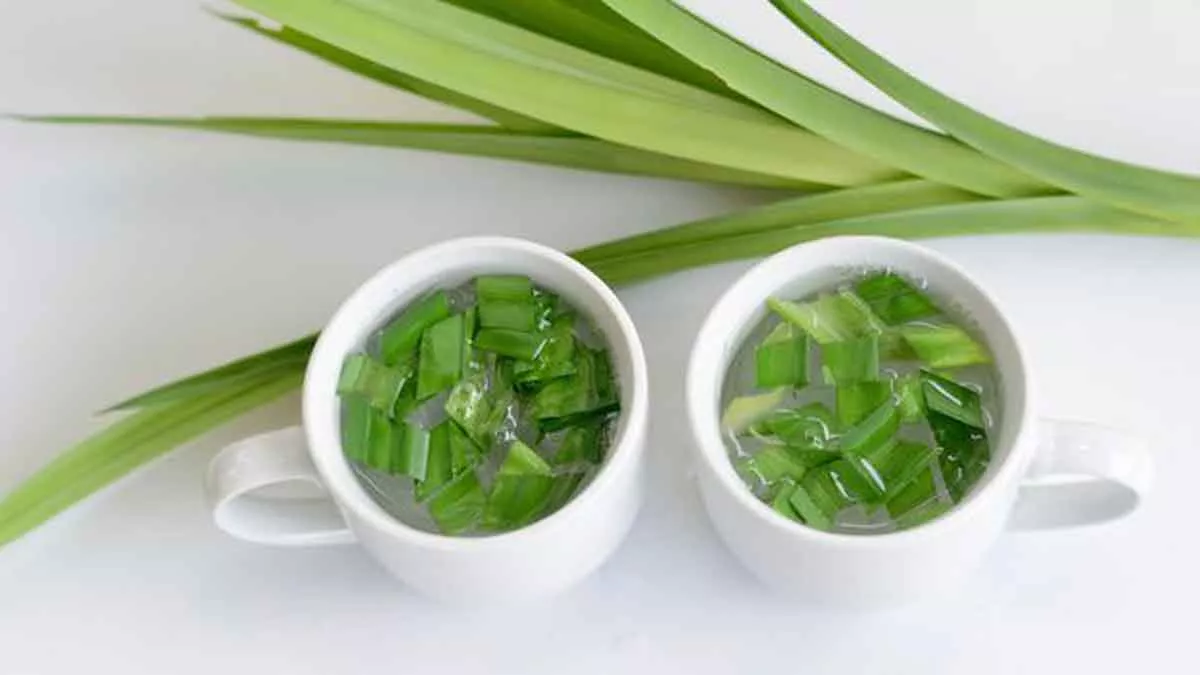 Pandan, Daun Pewangi Alami Yang Simpan Banyak Manfaat Untuk Tubuh